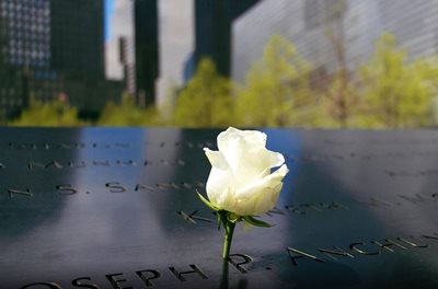 نیویورک-میدان-یادبود-11-سپتامبر-9-11-memorial-museum-121697