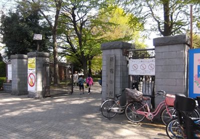توکیو-پارک-ملی-شینجوکو-گیوئن-Shinjuku-Gyoen-National-Garden-123716