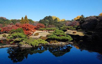 توکیو-پارک-ملی-شینجوکو-گیوئن-Shinjuku-Gyoen-National-Garden-123723