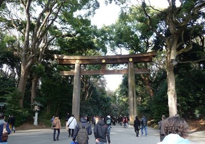 توکیو-آرامگاه-میجی-Meiji-Shrine-123731