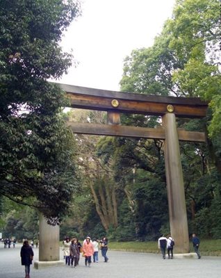 توکیو-آرامگاه-میجی-Meiji-Shrine-123734