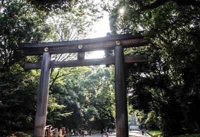 توکیو-آرامگاه-میجی-Meiji-Shrine-123737