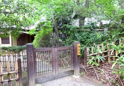 توکیو-آرامگاه-میجی-Meiji-Shrine-123744