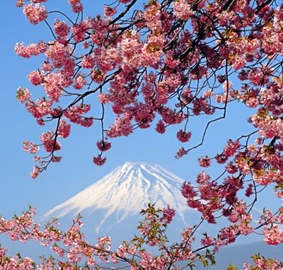 توکیو-کوه-فوجی-Mount-Fuji-123906