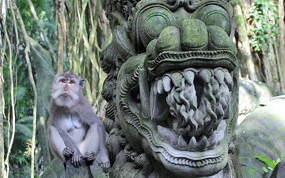 بالی-جنگل-میمون-ها-Sacred-Monkey-Forest-Sanctuary-125893