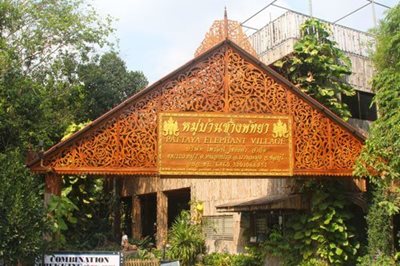 پاتایا-دهکده-فیل-ها-Elephant-Village-Pattaya-127409