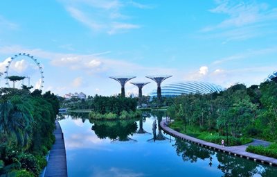 سنگاپور-جنگل-ابر-Gardens-by-the-Bay-131164