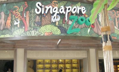 سنگاپور-باغ-وحش-سنگاپور-Singapore-Zoo-131439