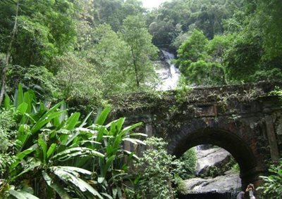 ریو-دوژانیرو-پارک-ملی-تیجوکا-tijuca-national-park-131524