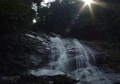 ریو-دوژانیرو-پارک-ملی-تیجوکا-tijuca-national-park-131530