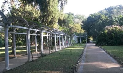 ریو-دوژانیرو-باغ-گیاه-شناسی-Botanical-Garden-131642