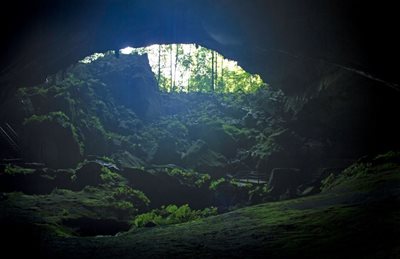ساراواک-پارک-ملی-کونونگ-مولو-Gunung-Mulu-National-Park-135221