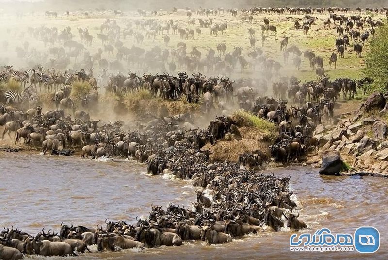 پارک ملی سرنگتی Serengeti National Park