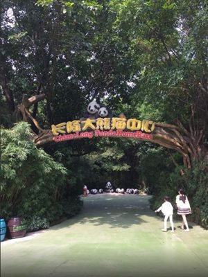 گوانجو-سافاری-پارک-Chimelong-Xiangjiang-Safari-Park-141671