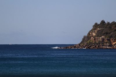 سیدنی-ساحل-شلی-Shelly-Beach-142949