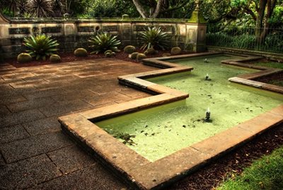 سیدنی-باغ-های-گیاهی-رویال-Royal-Botanic-Gardens-143115