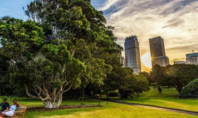 سیدنی-باغ-های-گیاهی-رویال-Royal-Botanic-Gardens-143111