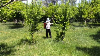 فیروزکوه-روستای-سله-بن-145310