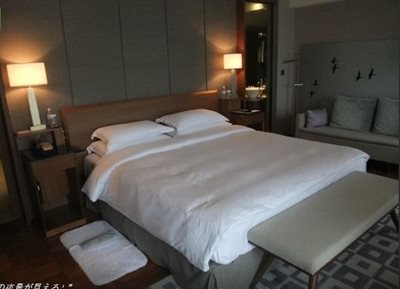 شانگهای-هتل-Les-Suites-Orient-146579