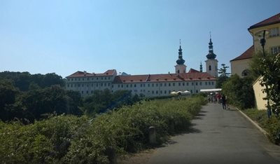 پراگ-قصر-لبکوویچ-Lobkowicz-Palace-146788
