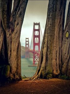 سانفرانسیسکو-پل-گلدن-گیت-Golden-Gate-Bridge-147646
