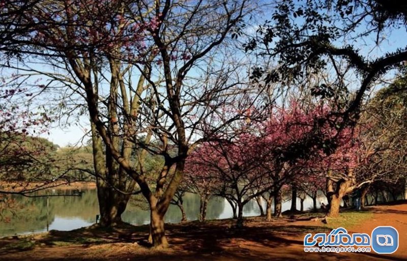 پارک ایبیراپوئرا Ibirapuera Park