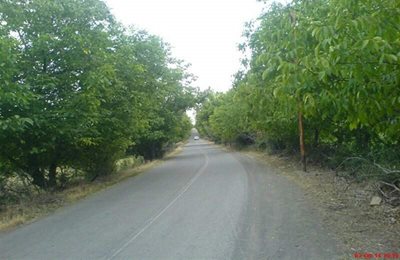 میانه-روستای-نقاباد-148127