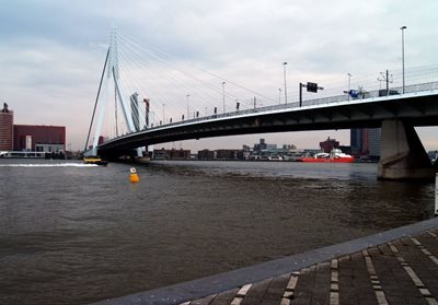 رتردام-پل-اراسموس-Erasmus-Bridge-158148