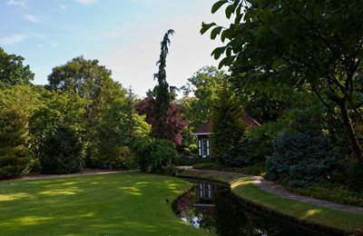 رتردام-باغ-آربورتم-ترومپنبرگ-Arboretum-Trompenburg-158338