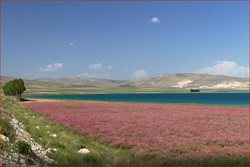 دریاچه وان Lake Van