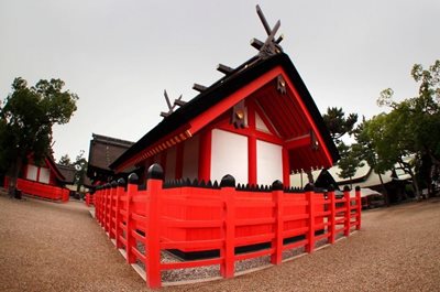 اوساکا-معبد-سومایوشی-تایشا-Sumiyoshi-taisha-Shrine-160933