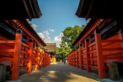 اوساکا-معبد-سومایوشی-تایشا-Sumiyoshi-taisha-Shrine-160931