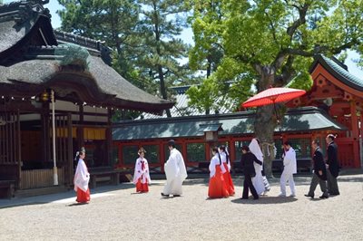 اوساکا-معبد-سومایوشی-تایشا-Sumiyoshi-taisha-Shrine-160934