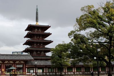 اوساکا-معبد-شیتنوجی-Shitennoji-Temple-160951