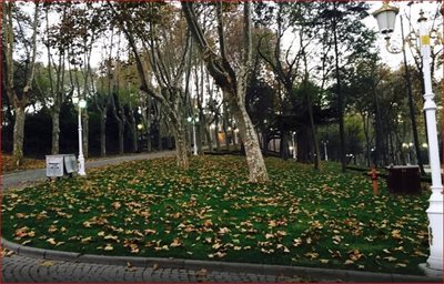 استانبول-پارک-گلخانه-Gulhane-Park-164430