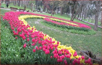 استانبول-پارک-گلخانه-Gulhane-Park-164433
