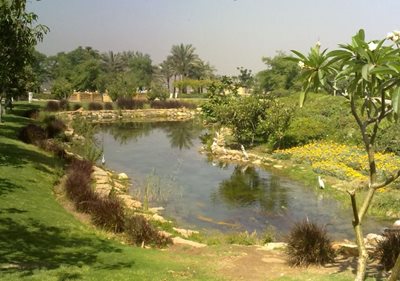 قاهره-پارک-الازهر-Al-Azhar-Park-165489