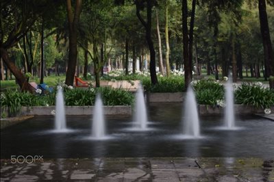 مکزیکو-سیتی-پارک-چپولتپک-Bosque-de-Chapultepec-166491