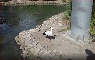 ازمیر-پارک-حیات-وحش-ازمیر-Izmir-Wild-Life-Park-168820