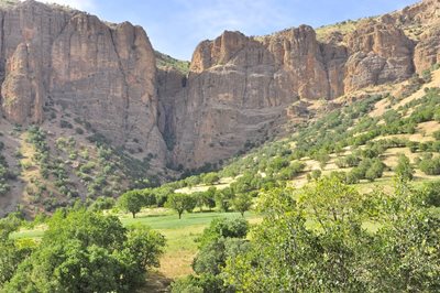 جنگلهای پشتکوه