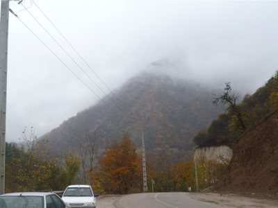 چمستان-پارک-جنگلی-کشپل-169686
