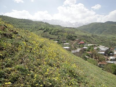 ساری-روستای-پاجی-170740