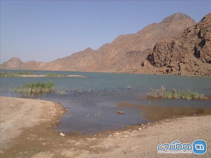 دریاچه سد شهید شاهچراغی
