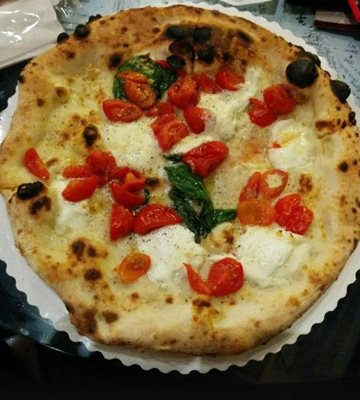 فلورانس-پیتزا-گوستا-Gusta-Pizza-177477