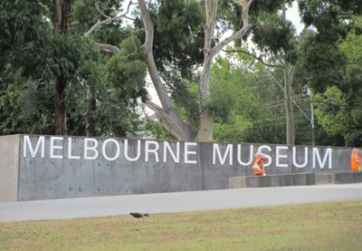 ملبورن-موزه-ملبورن-Melbourne-Museum-180643
