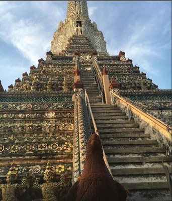 بانکوک-معبد-وات-آرون-Temple-of-Dawn-Wat-Arun-181771