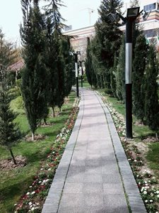 تهران-پارک-اندیشه-186399