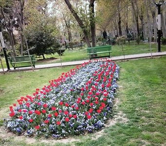 تهران-پارک-اندیشه-186402