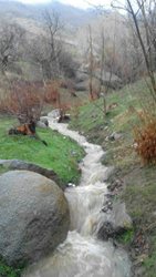 روستای ییلاقی کهنوش