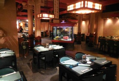 قاهره-رستوران-ژاپنی-شوگون-Shogun-Japanese-Restaurant-188657